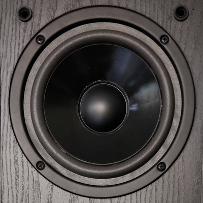 Foam ring for Magnat W165P870 woofer