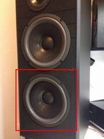 Foam surround for the lower JBL TLX20 woofer