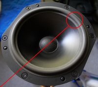 Foamrand voor Bowers & Wilkins PCS 8 subwoofer (12 inch)