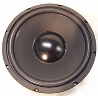 JBL Tieftöner für HT-PS300 Subwoofer