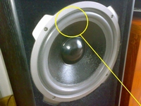 Foam surround (10 inch) for Quadral Vulkan MK5 woofer