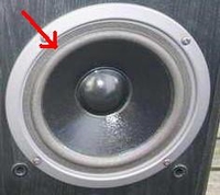 Foam ring (6 inch) for Magnat Concept 200