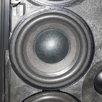 Paper dust cap for B&O Beolab Penta midrange