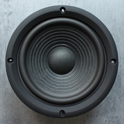 JBL Arena 125C Tieftöner