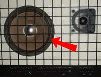 Foam ring (8 inch) for Philips Power Monitor 100