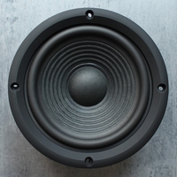 JBL Arena 125C Tieftöner