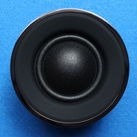 Wharfedale EVO4 midrange, CBG27 version