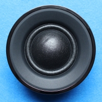 Wharfedale EVO4 midrange, dent in dome (photo)