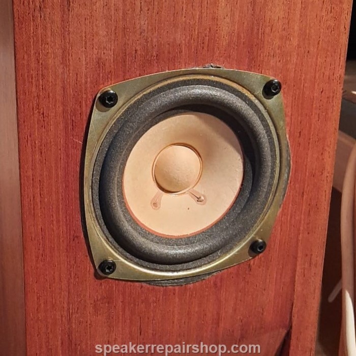 Dynacord&nbsp; / Fostex FE-103 full range driver wtih a new foam surround mounted