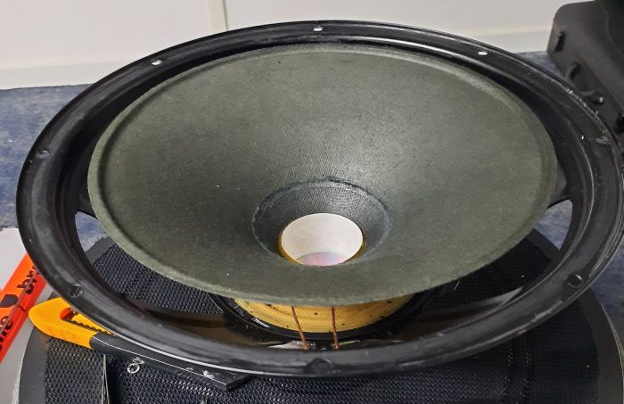 REL Q100E woofer schoongemaakt en met de stofkap verwijderd.